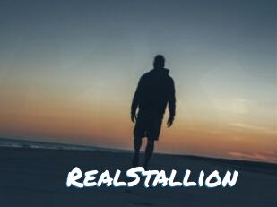 RealStallion