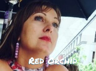 Red_Orchid