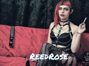 ReedRose