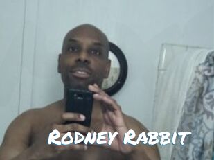 Rodney_Rabbit