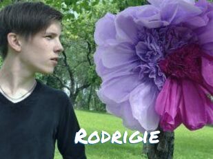 Rodrigie