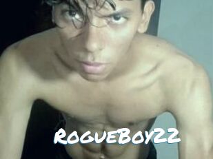 RogueBoy22