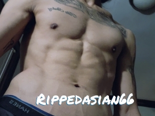 Rippedasian66