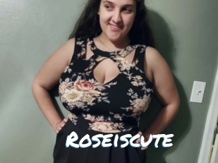 Roseiscute