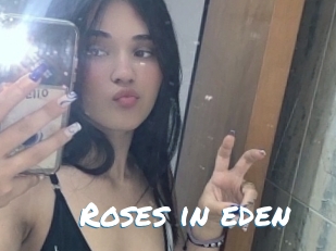Roses_in_eden