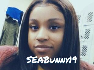 SEABunny19