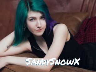 SandySnowX