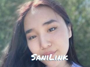 SaniLink