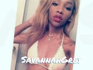 Savannah_Grey