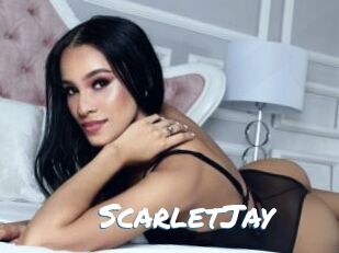 ScarletJay