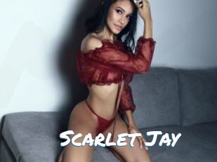 Scarlet_Jay