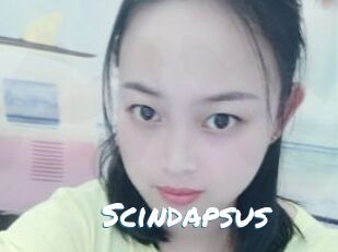 Scindapsus