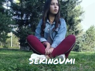 SekinoUmi