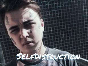 SelfDistruction