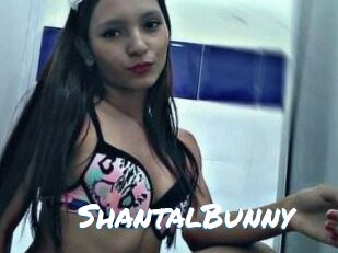 ShantalBunny