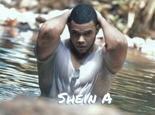 Shein_A