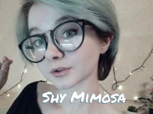 Shy_Mimosa
