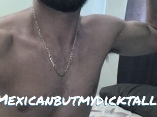 SkinnyMexicanbutmydicktall