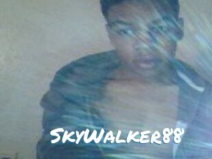 SkyWalker88