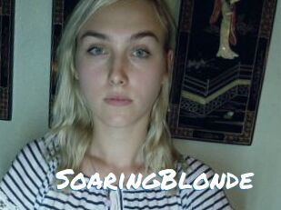 SoaringBlonde