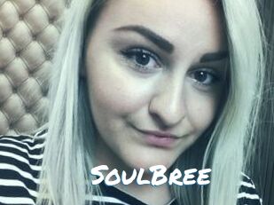 SoulBree Max 50