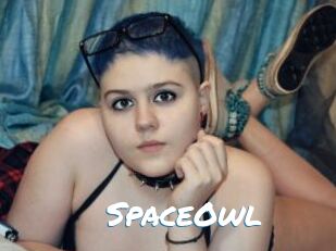 SpaceOwl