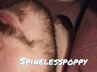 Spinelesspoppy
