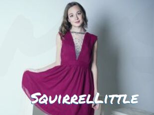 SquirrelLittle