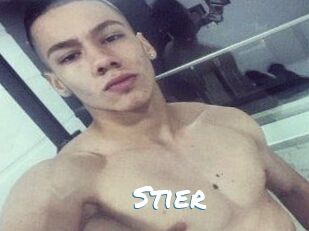 Stier