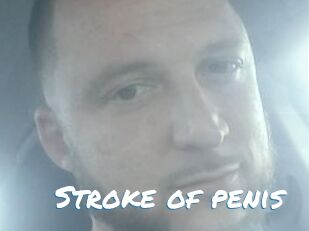 Stroke_of_penis