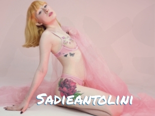Sadieantolini