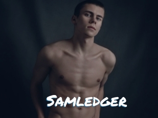 Samledger