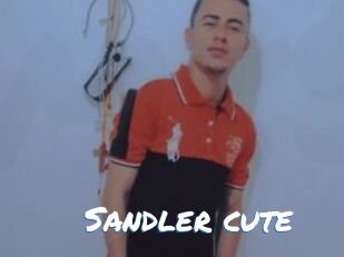 Sandler_cute