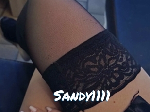Sandy1111