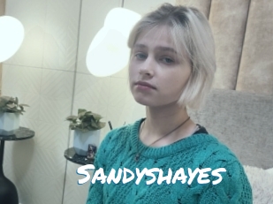 Sandyshayes
