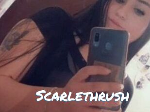 Scarlethrush