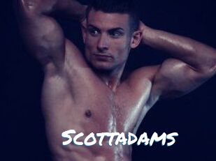 Scottadams