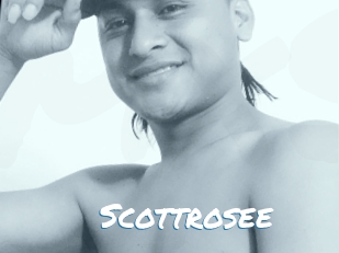 Scottrosee