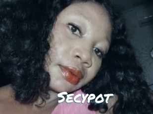 Secypot