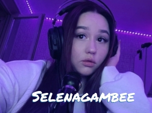 Selenagambee