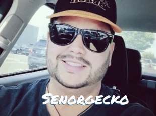 Senorgecko