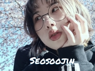 Seosoojin