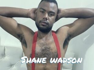 Shane_wadson