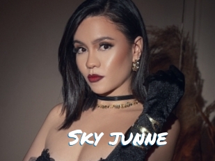 Sky_junne
