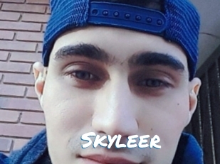 Skyleer