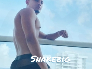 snakebig Max 50