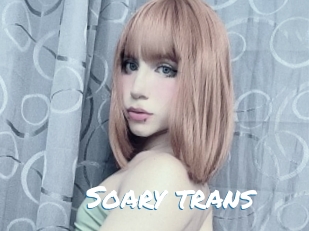Soary_trans