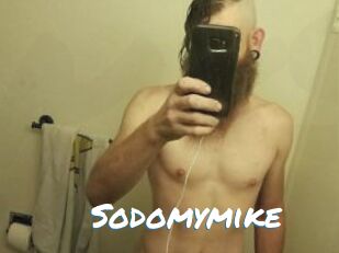 Sodomymike