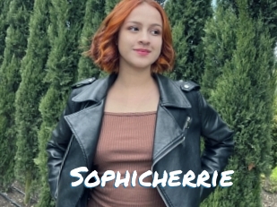 Sophicherrie