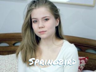 Springbird